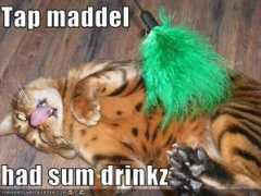 Maddel