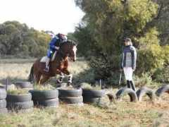 hamlotpark.ausequine.com Maddelin