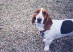 Maddie