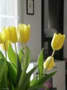 madiel.flog.pl Madiel