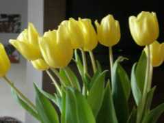 madiel.flog.pl Madiel