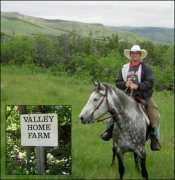 madlinehorsemanshipclinics.com Madline