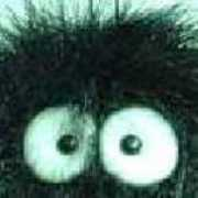 stupidvideos.com Madmonkey
