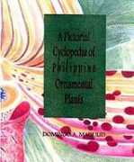 kabayancentral.com Madulid