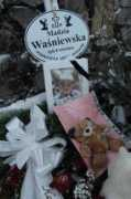 wiadomosci.wp.pl Madzi