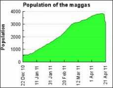 Maggas