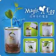 Maggic