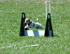 timhunt.net Maggiemae