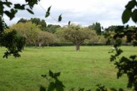 geograph.org.uk Magham