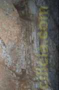 cilicia.com Magili