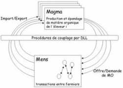 Magmas