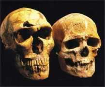 Magnon