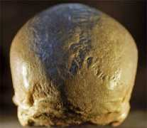 Magnon