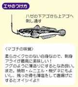 takamiya.co.jp Magoti