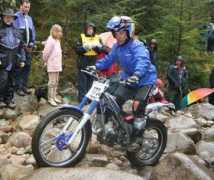 todotrial.com Magrina