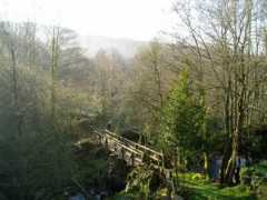 Magros