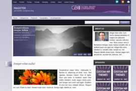 simplewpthemes.com Magster