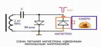Magv