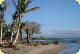 Mahambo