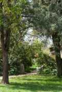 panoramio.com Mahanaim