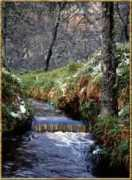 whisky-distilleries.info Mahelia