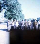 Mahewa