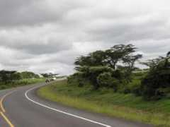 Mahiu