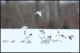 blog.moment.ee Mahlane