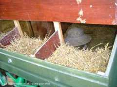 readersheds.co.uk Mahol