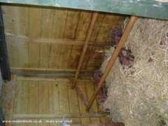 readersheds.co.uk Mahol