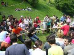 saguna.ro Maial