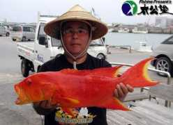 taikobo.jp Maichael