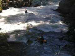 riversofchile.com Maichin