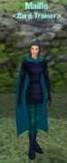 camelot.allakhazam.com Maille