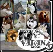 vabank.dog.bg Mainake
