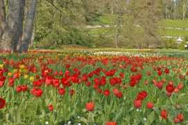 Mainau