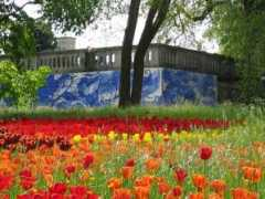 Mainau