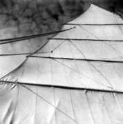 thecheappages.com Mainsail