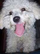 noticias24.com Mairely