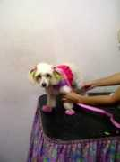 noticias24.com Mairely