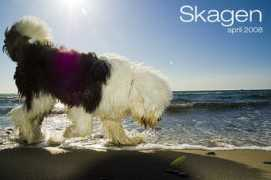 kennelblueberry.dk Maises