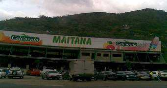 Maitana