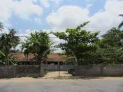 Majana