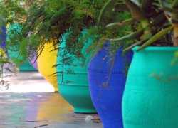 riadelizabeth.com Majorelle