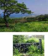 makalanihawaii.com Makalani