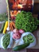 makariafarm.com Makaria