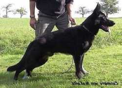 hinterlandgsd.com Makera