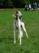 saluki-web.de Makhali