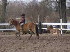 Makir