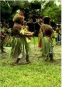 commerce.gov.sb Makira